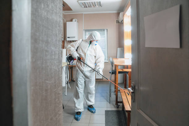 Best Biohazard Mold Removal  in Fort Sumner, NM