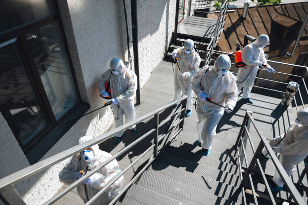 Best Mold Remediation for Healthcare Facilities  in Fort Sumner, NM