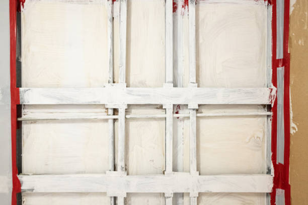 Best Asbestos and Lead Testing During Mold Inspection  in Fort Sumner, NM