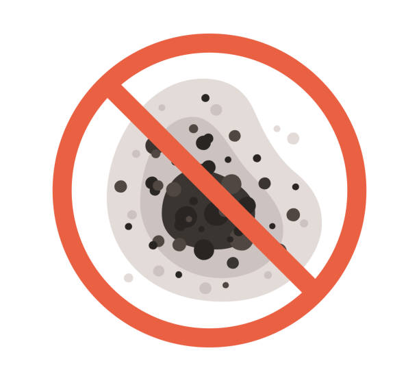 Best Mold-Related Health Consultation  in Fort Sumner, NM