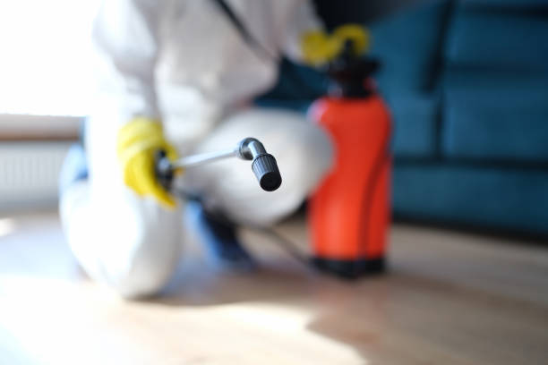 Best Crawl Space Mold Remediation  in Fort Sumner, NM