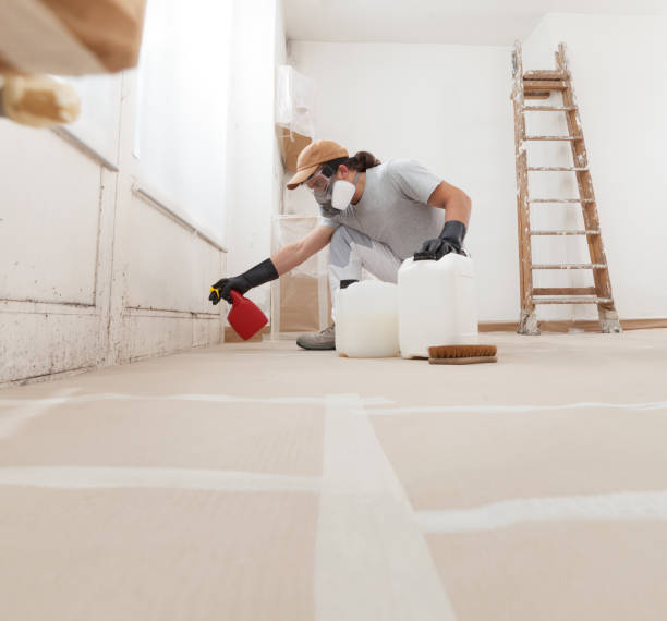 Best Attic Mold Removal  in Fort Sumner, NM