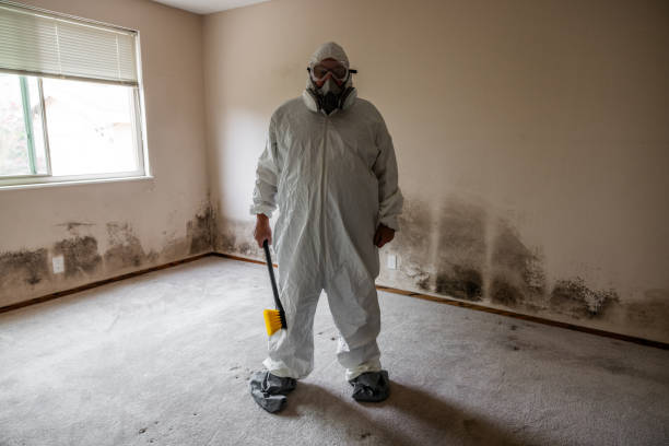 Best Mold Prevention Services  in Fort Sumner, NM
