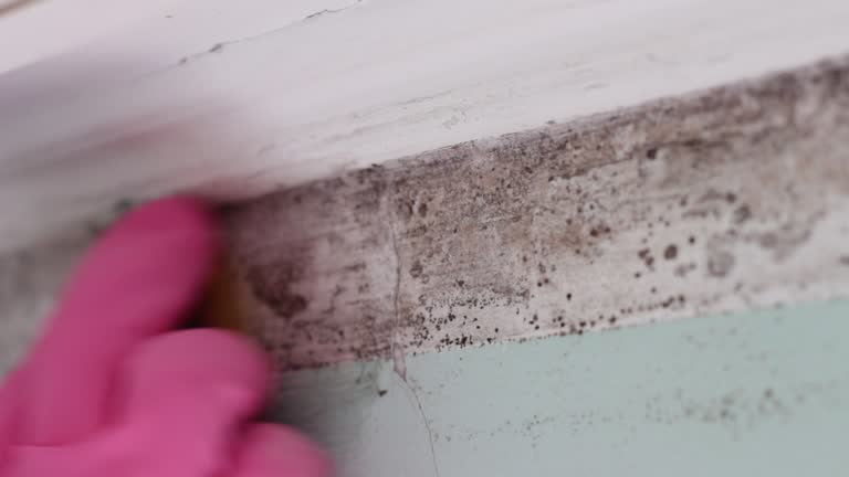 Best Indoor Air Quality Assessment  in Fort Sumner, NM